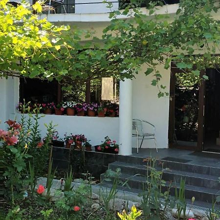 Pensiunea Vila Geany Srl Băile Herculane Exterior foto