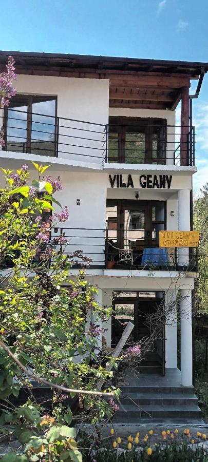 Pensiunea Vila Geany Srl Băile Herculane Exterior foto
