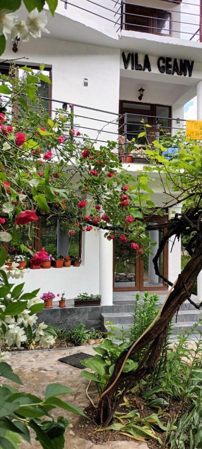 Pensiunea Vila Geany Srl Băile Herculane Exterior foto