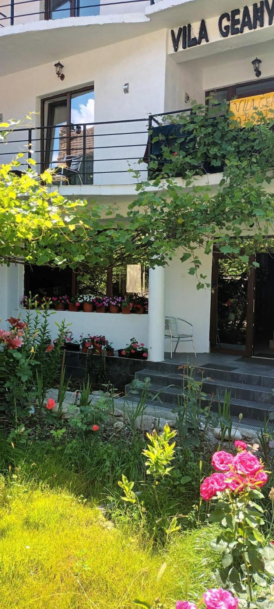 Pensiunea Vila Geany Srl Băile Herculane Exterior foto